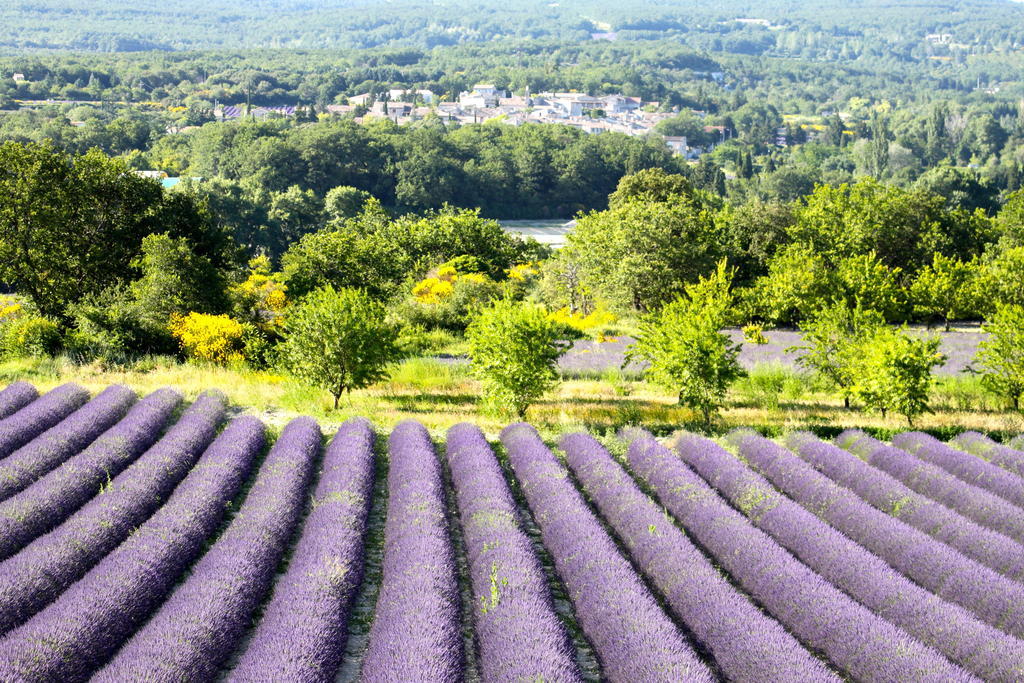 La Bugadiere Salles-sous-Bois Zewnętrze zdjęcie